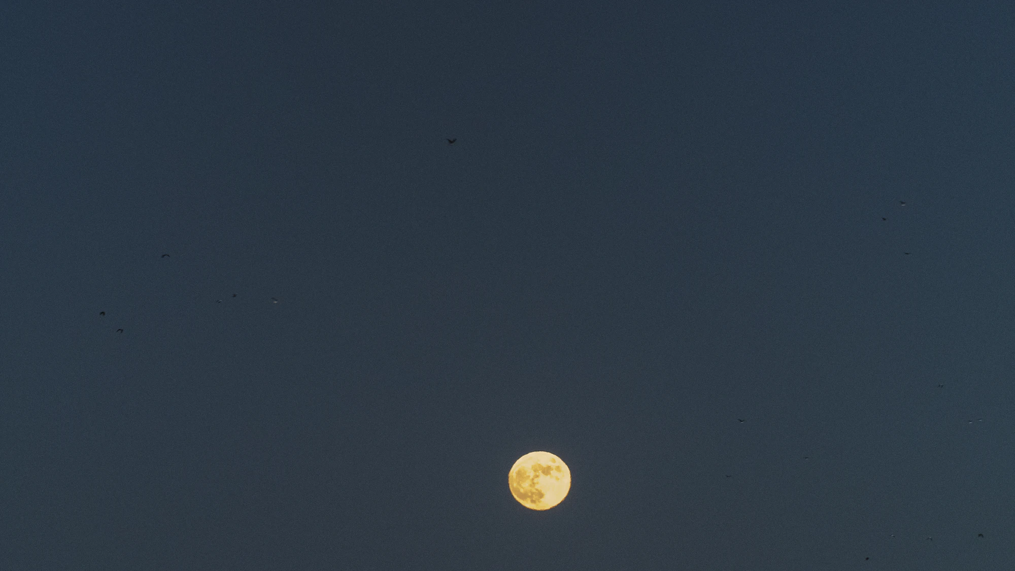 A full moon over a dark blue sea at night
